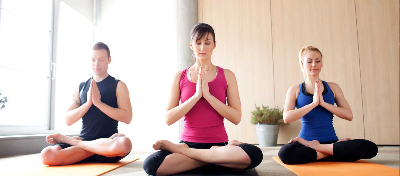 Primary Hospital and Healthcare